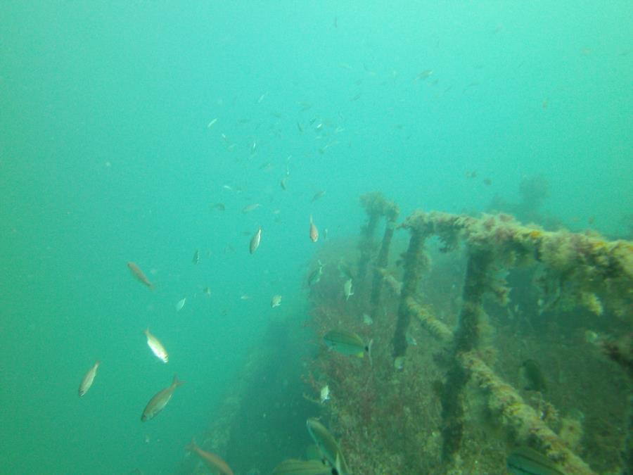 Charleston Tug Wreck - Towards the bow