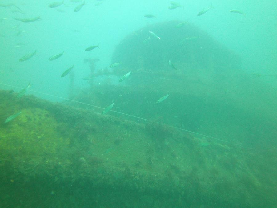 Charleston Tug Wreck - Charleston tug