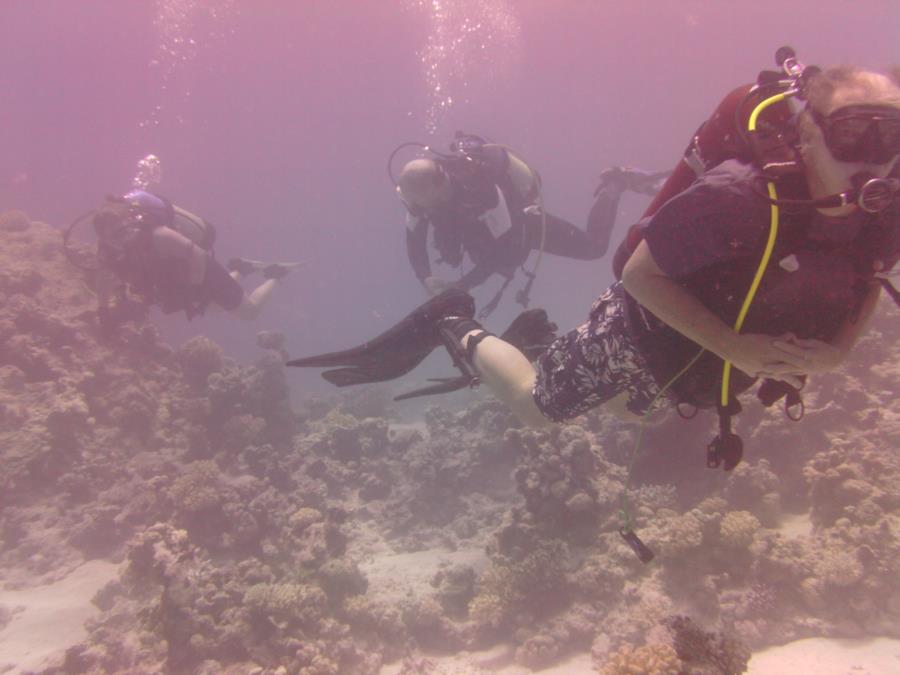 Kyal North - TEDC (Tabuk Expat Dive Club) at Kyal, KSA