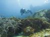 Black Rocks - Grenada