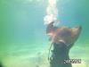 Ultimate 12 foot dive - Stingray City2