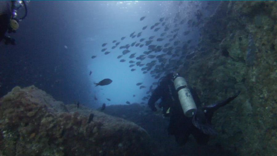 Poor Knights Islands - Arch1