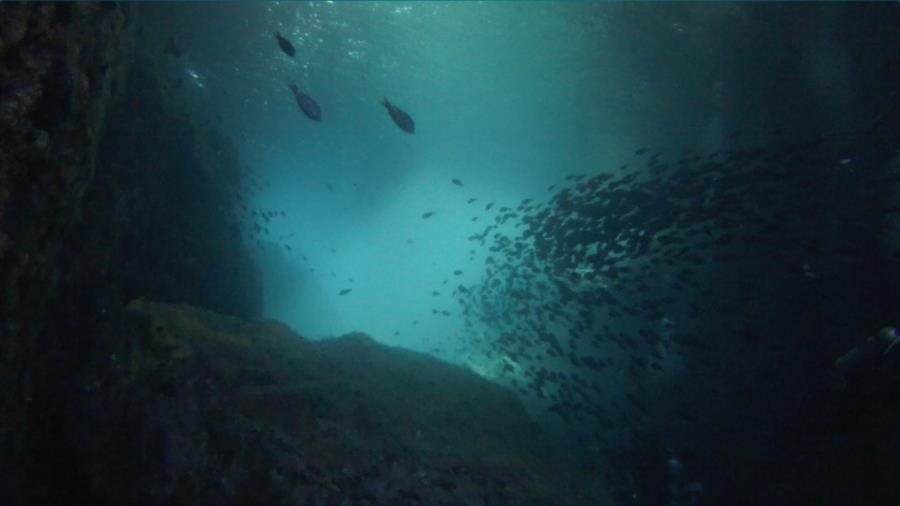 Poor Knights Islands - Arch2