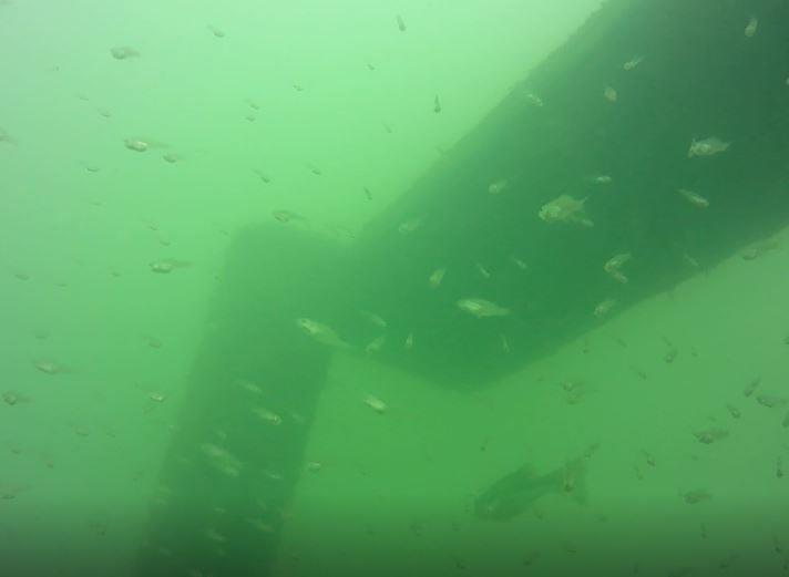 Lake Murray State Park - Three Rocks - Dive Platform
