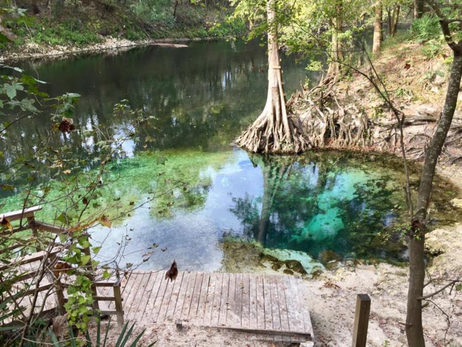 Pot Spring - River spring boardwalk Nov. 2016