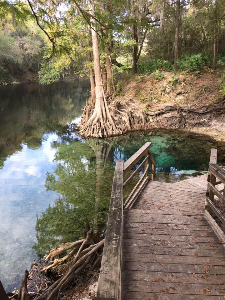 Pot Spring - River Spring boardwalk Portrait Nov. 2016