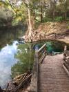 River Spring boardwalk Portrait Nov. 2016 - SantaFeSandy