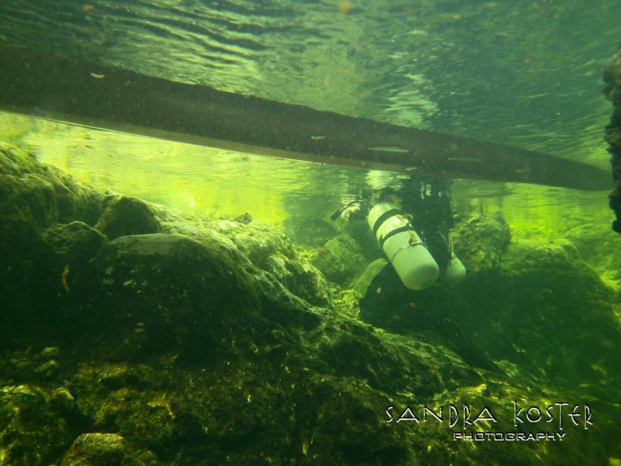 Lineater Spring - A view of the side bank where divers gear up/down.