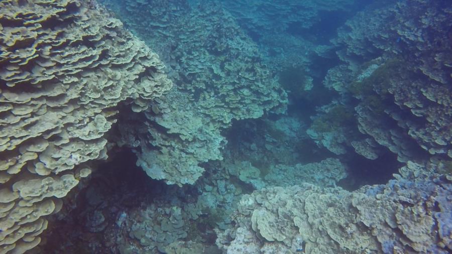 Western Shoals - One of the several large crevices