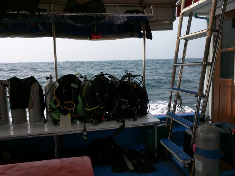 Koh Lan - Pattaya Near Islands Dive Sites 3