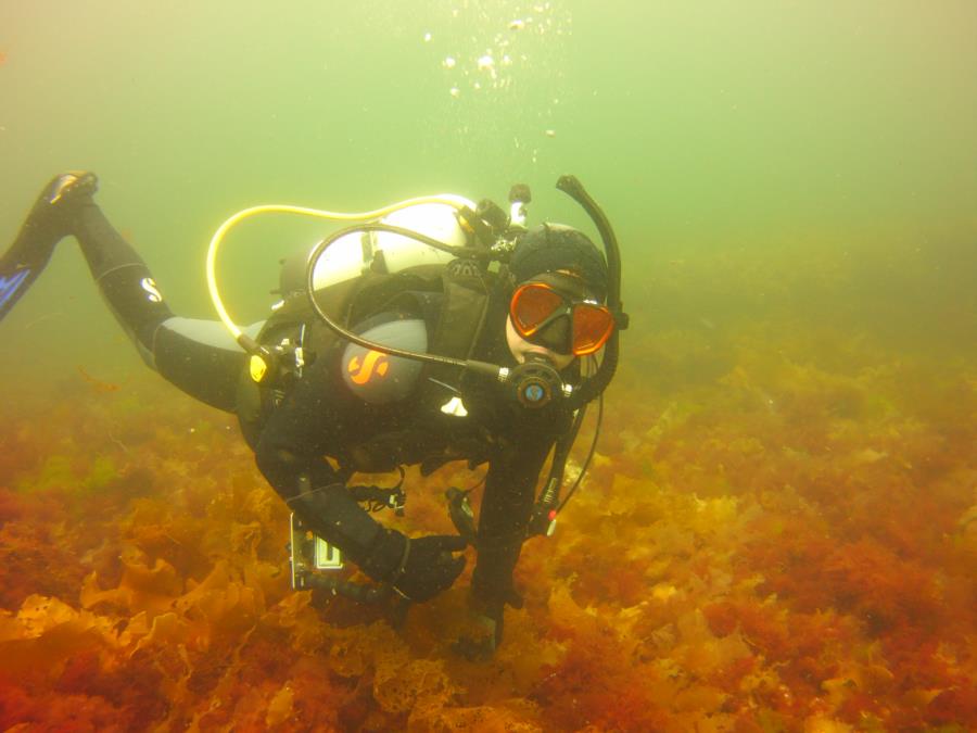 Duck Island-Jimmies Ledge - Cruzin