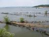 Mallows Bay Ghost Fleet - Nanjamoy MD