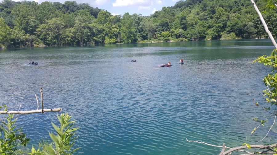 Juturna Springs - Surface of water at Juturna Springs in Maryland