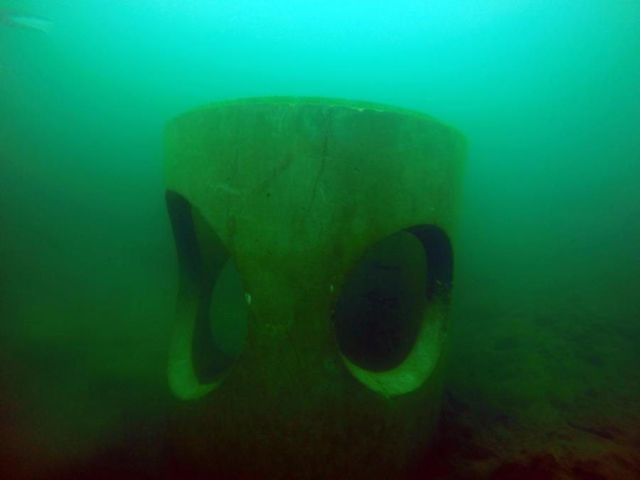 Juturna Springs - underwater structure