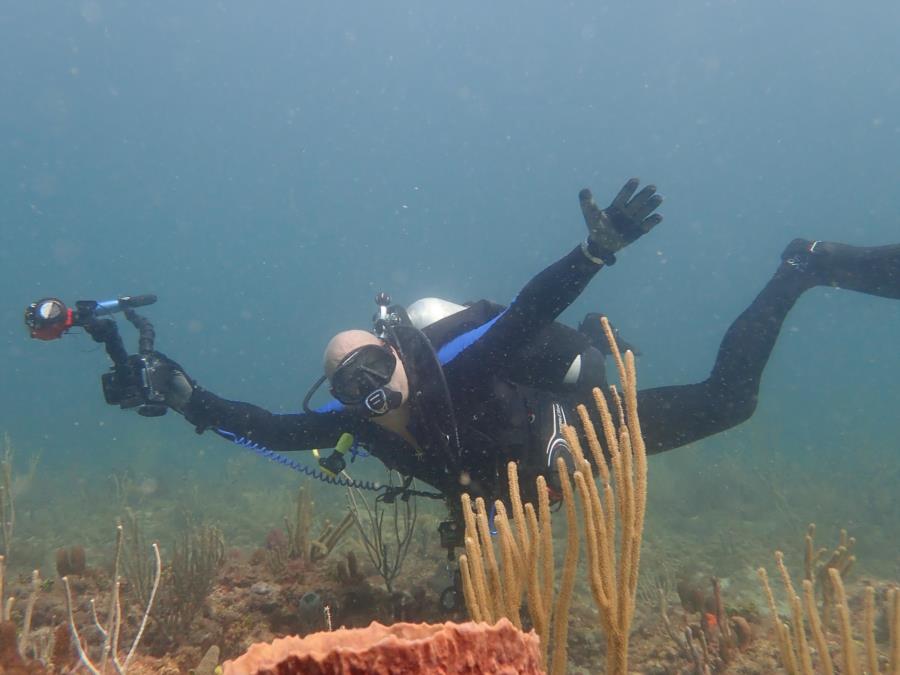 Vista Reef Park - B