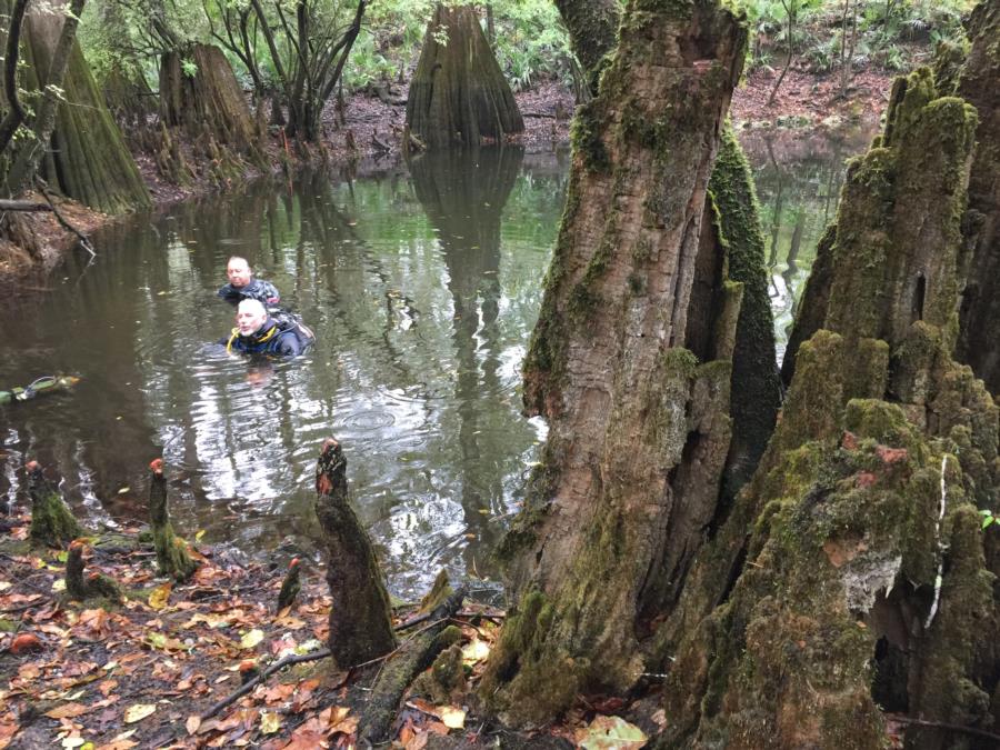 Cypress Sink - Guy inside Cypress