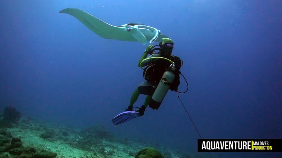 Addu Manta Point - Addu Manta Point