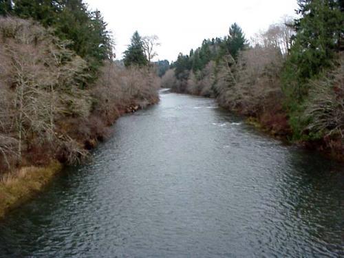 Twin Bridges Memorial Park - 1