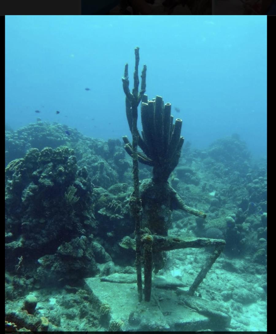 Neighborhood Beach - Free diver with staff