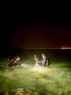 Night Dive - Kutch