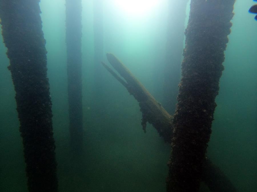 Welland Scuba Park - Bridge