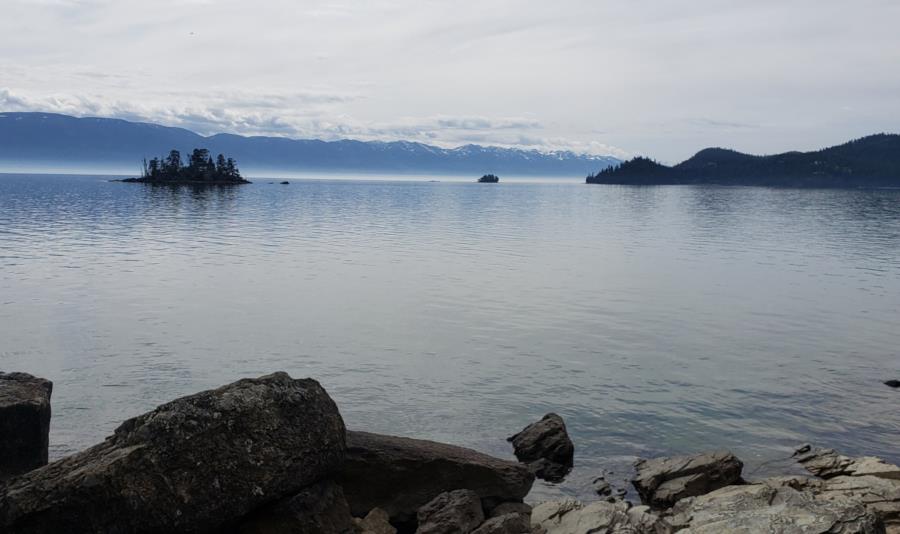 Flathead Lake - Goose island