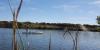 Brushy Creek Lake - Cedar Park TX