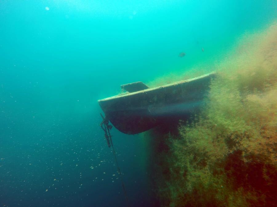 Bellevue Quarry - boat