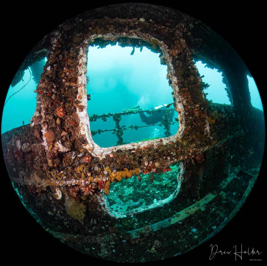 Stella Wreck - Bridge window