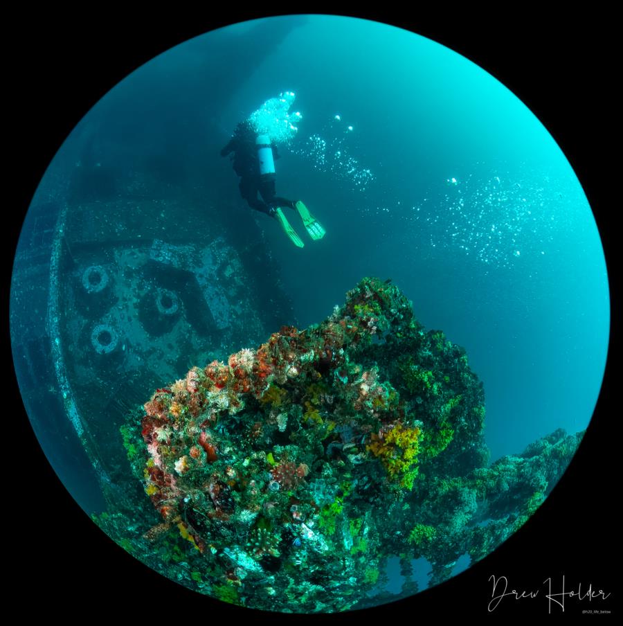 Stella Wreck - Deck