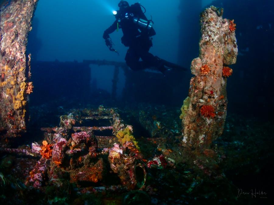 Stella Wreck - Diver on the deck