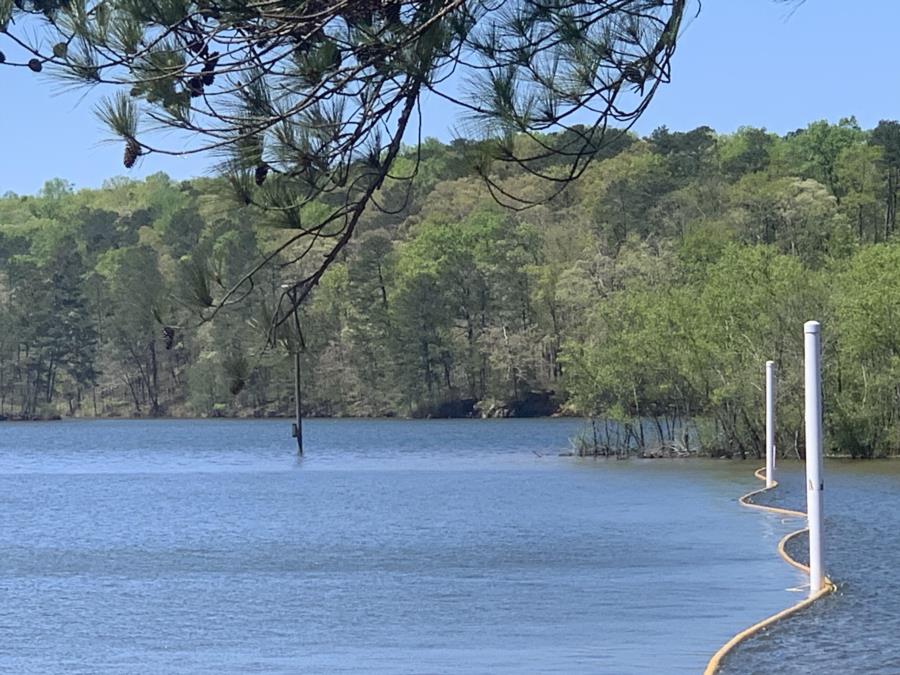 Lake Allatoona: Victoria Beach - Victoria Beach