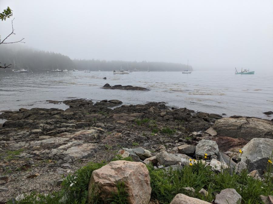 Seal Cove Picnic Area - Seal Cove Picnic Area