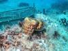 Punta Tiñosa (Stingray Tip) - Spain