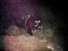 Devil’s Den Springs (Devils Den) - Diving the Den