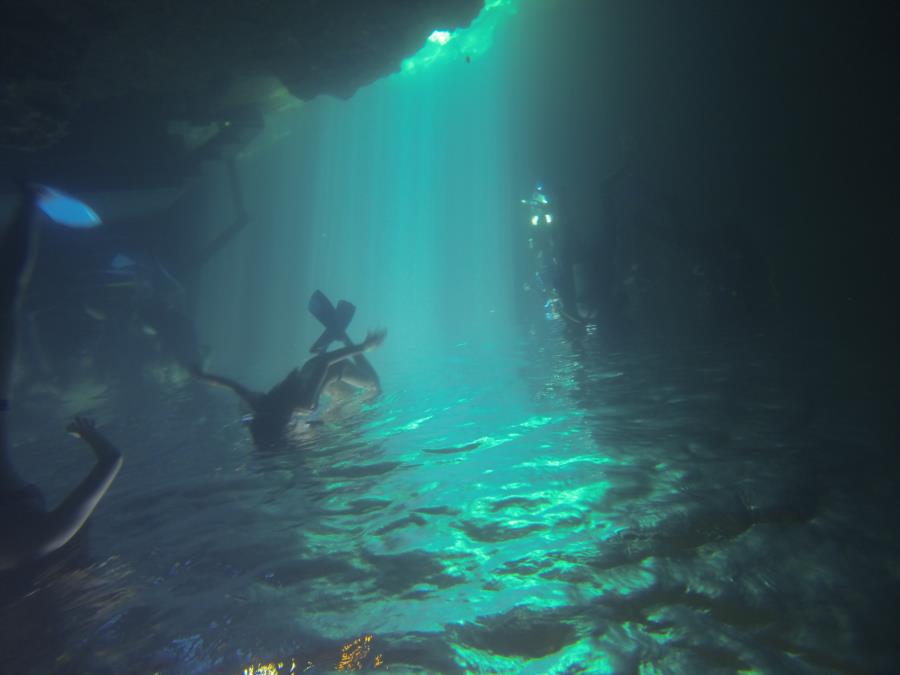 Devil’s Den Springs (Devils Den) - Not the greatest pic looks cool upside down though