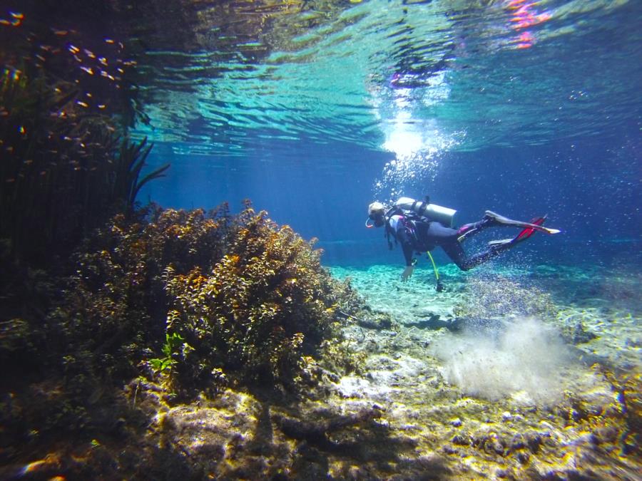 Ginnie Springs - Ginnie Springs