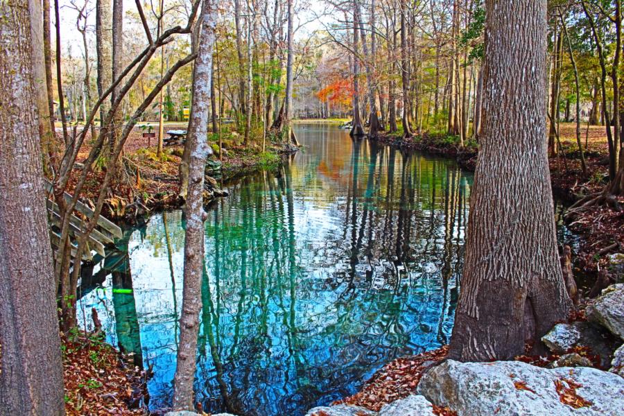 Ginnie Springs - Devils System at Ginnie