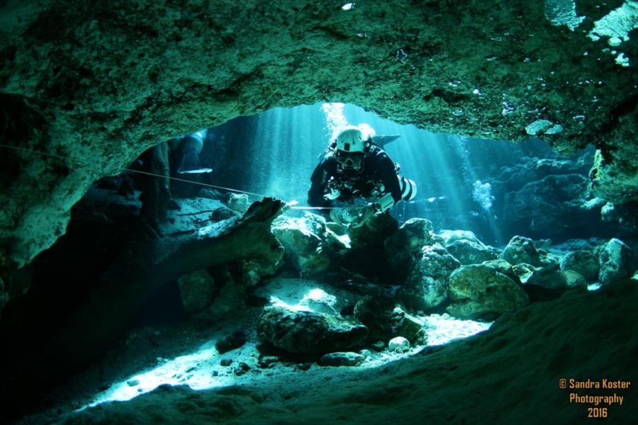 Ginnie Springs - Entering the Eye