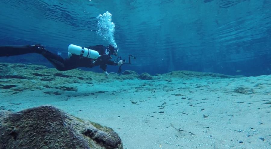 Ginnie Springs - Ginnie Springs 07JAN2017