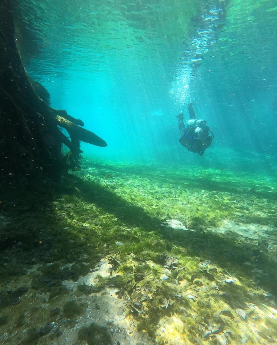 Ginnie Springs - Ginnie Springs Dive Site #2