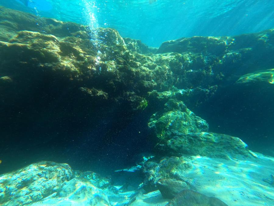 Ginnie Springs - Ginnie Springs Dive Site #1 - Ballroom Entrance