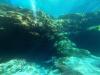 Ginnie Springs Dive Site #1 - Ballroom Entrance