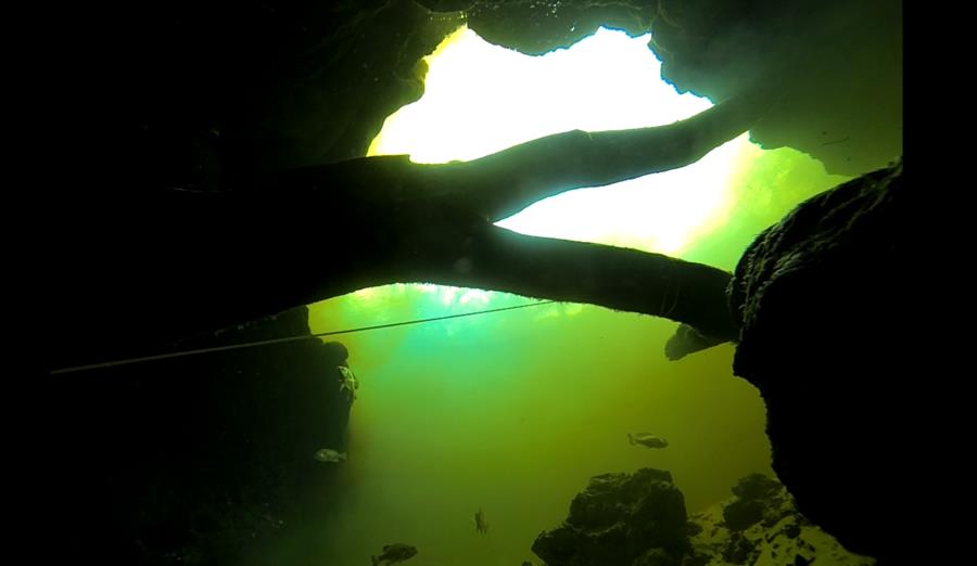 Little River Springs - Little River Cave Exit