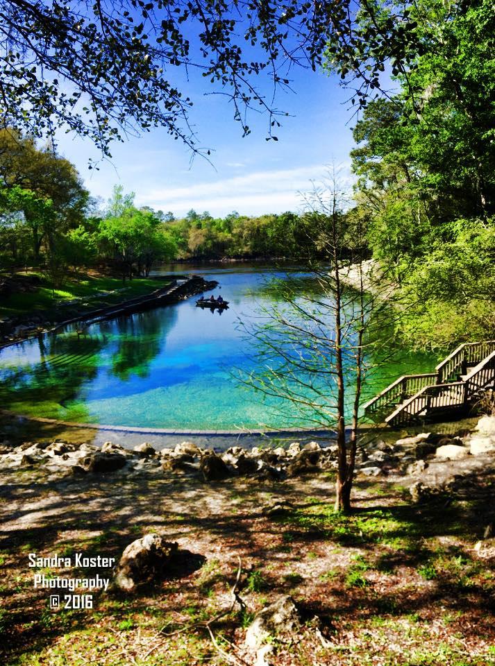 Little River Springs - Little River, Head-on from Gazebo by parking lot. Water levels up, low flow.