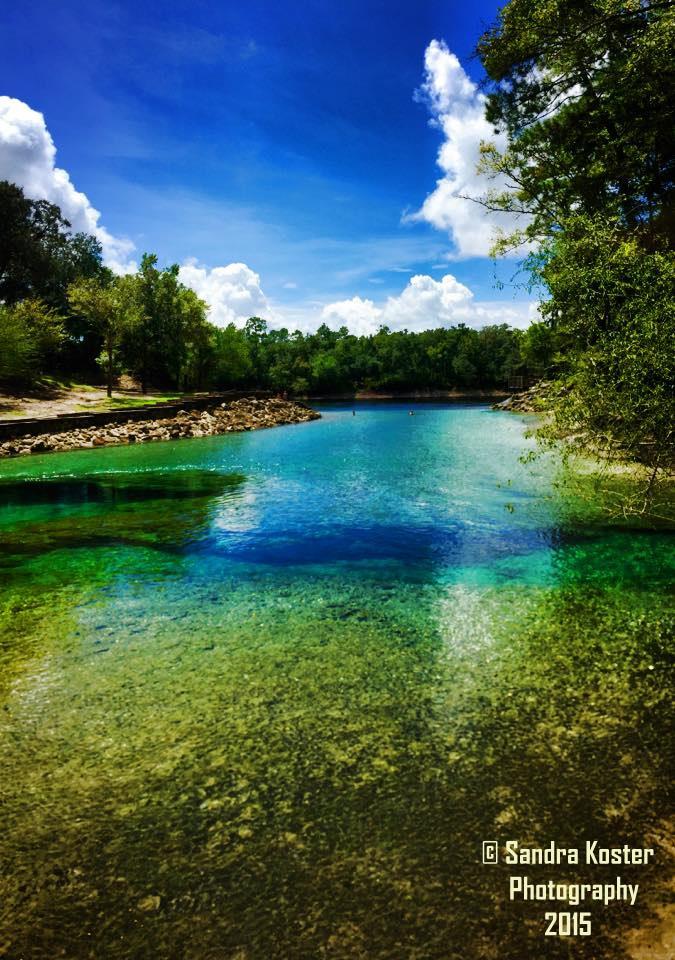 Little River Springs - Little River from steps landing headon 2015