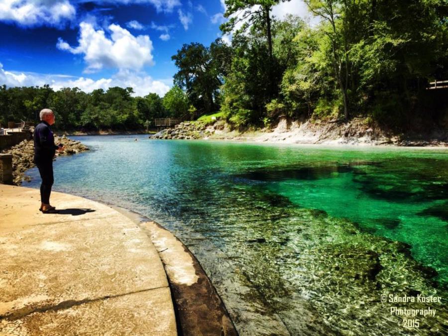 Little River Springs - From left bank, River steps in view