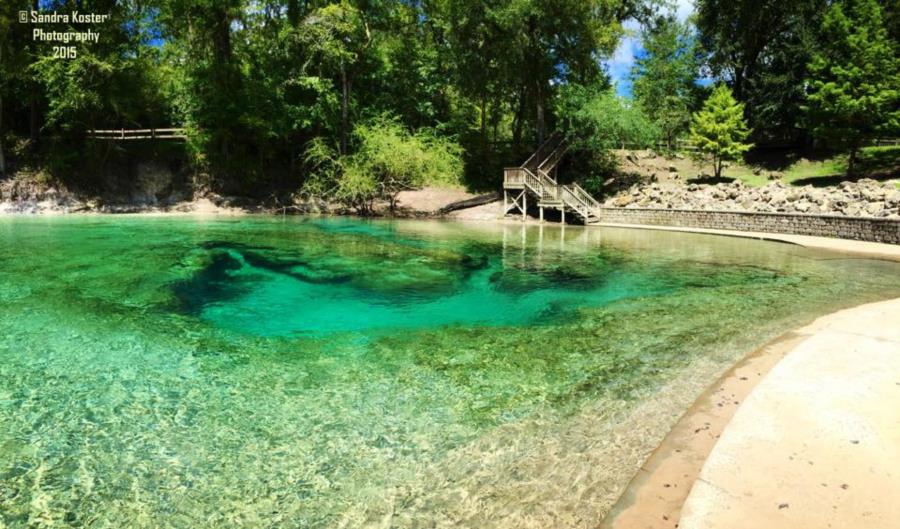 Little River Springs - Looking back at the main steps from left bank