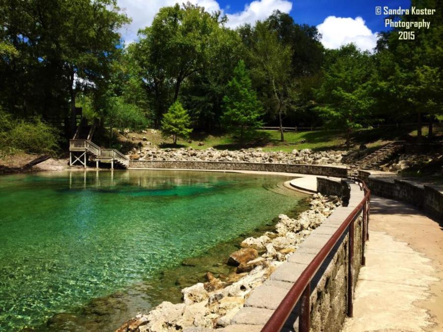 Little River Springs - Ramp view accessible during low levels