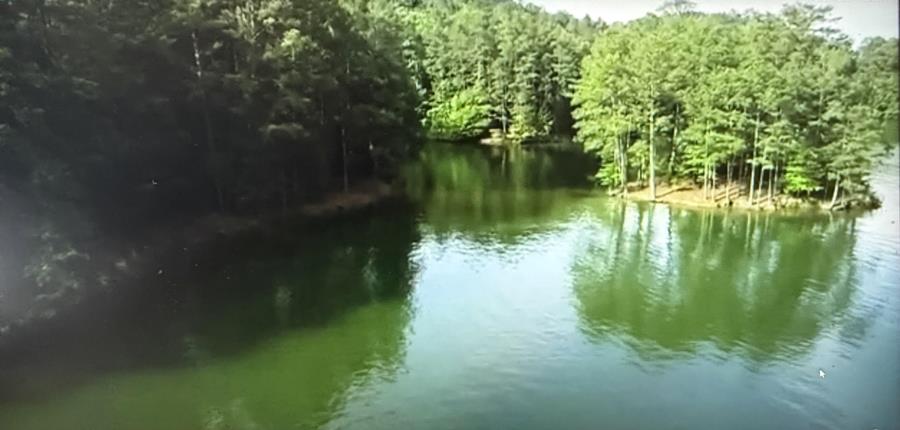 Lake Allatoona - Flamingo Cove (a.k.a Party Cove - Lake Allatoona - Flamingo Cove